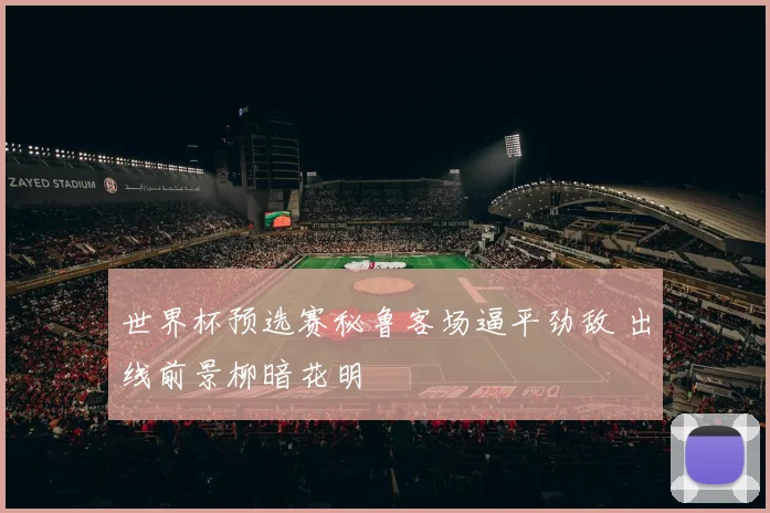 世界杯预选赛秘鲁客场逼平劲敌 出线前景柳暗花明