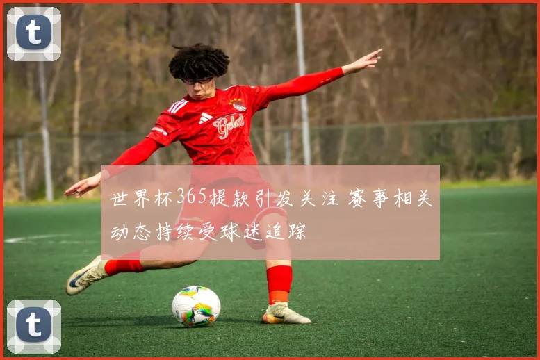 世界杯365提款引发关注 赛事相关动态持续受球迷追踪