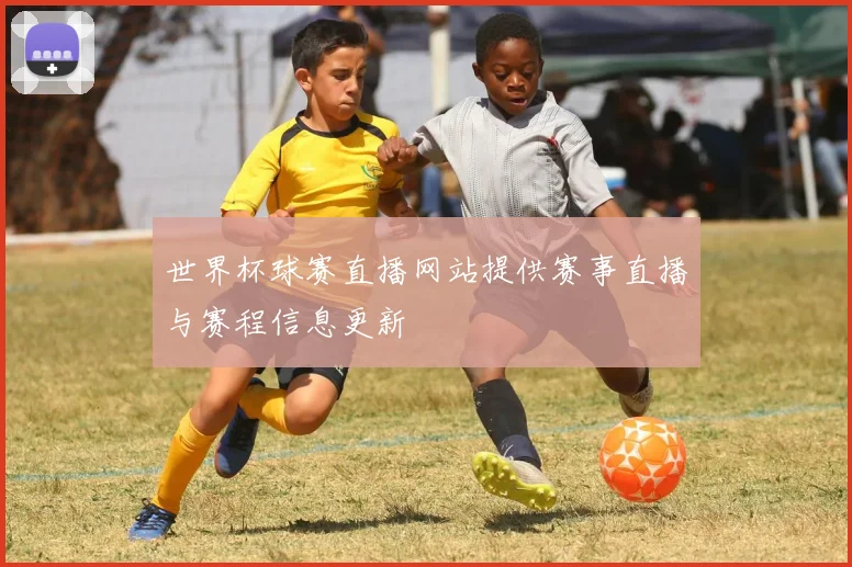 世界杯球赛直播网站提供赛事直播与赛程信息更新