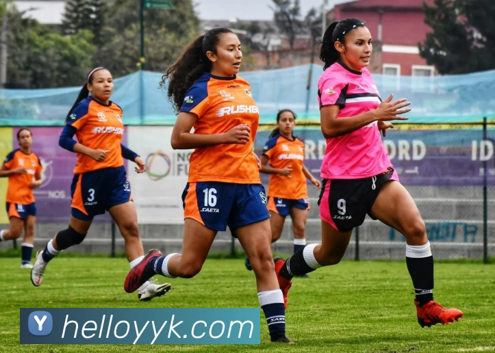 kaiyun入口品牌故事