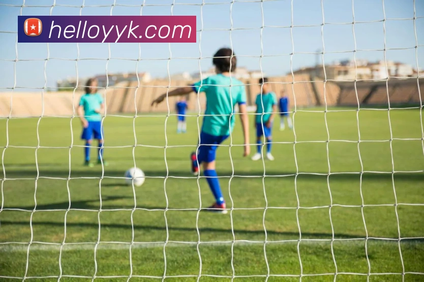 kaiyun入口服务体系